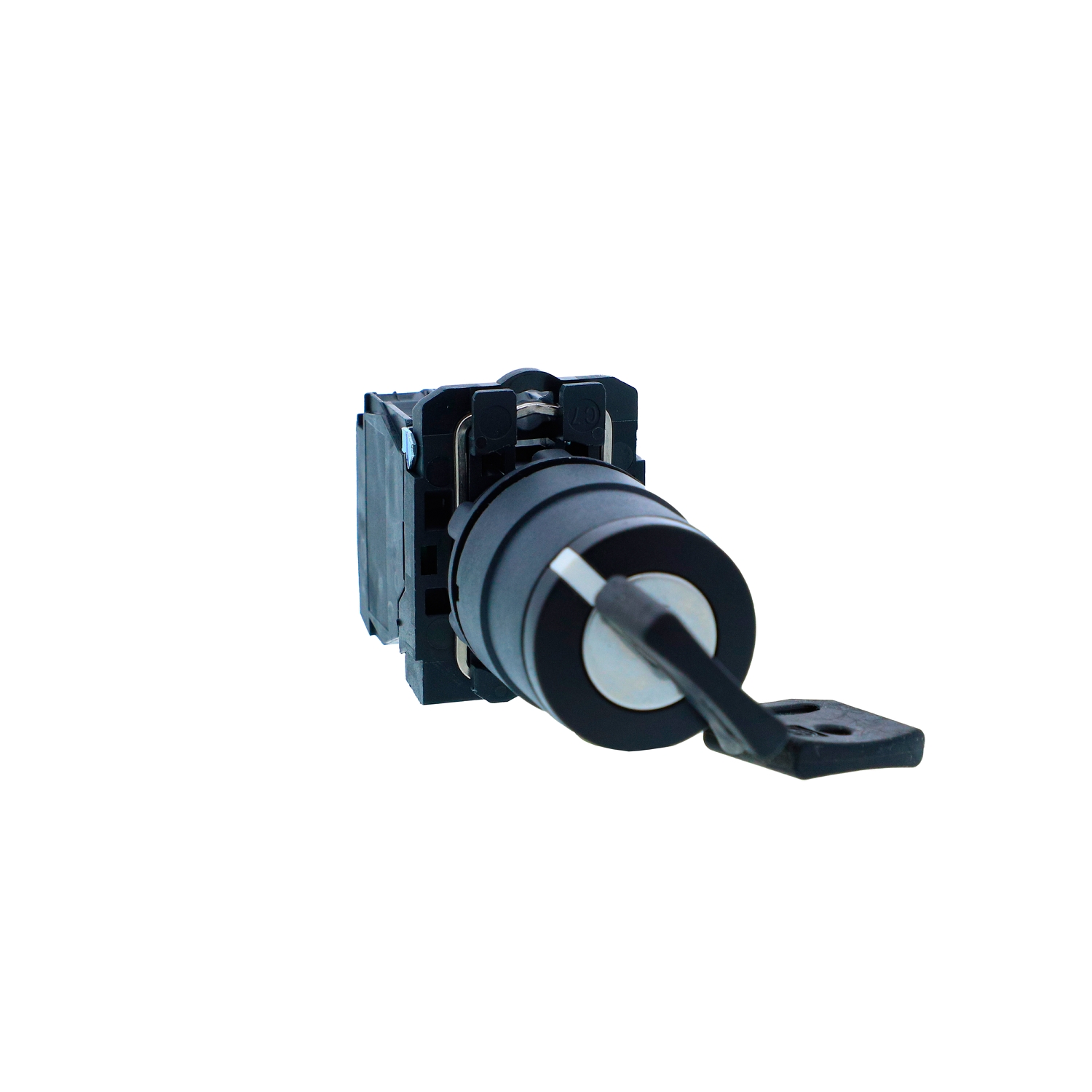 Schneider Harmony XB5N Selector Switch · 22 mm · 2 NO · IP65 · XB5AG53N