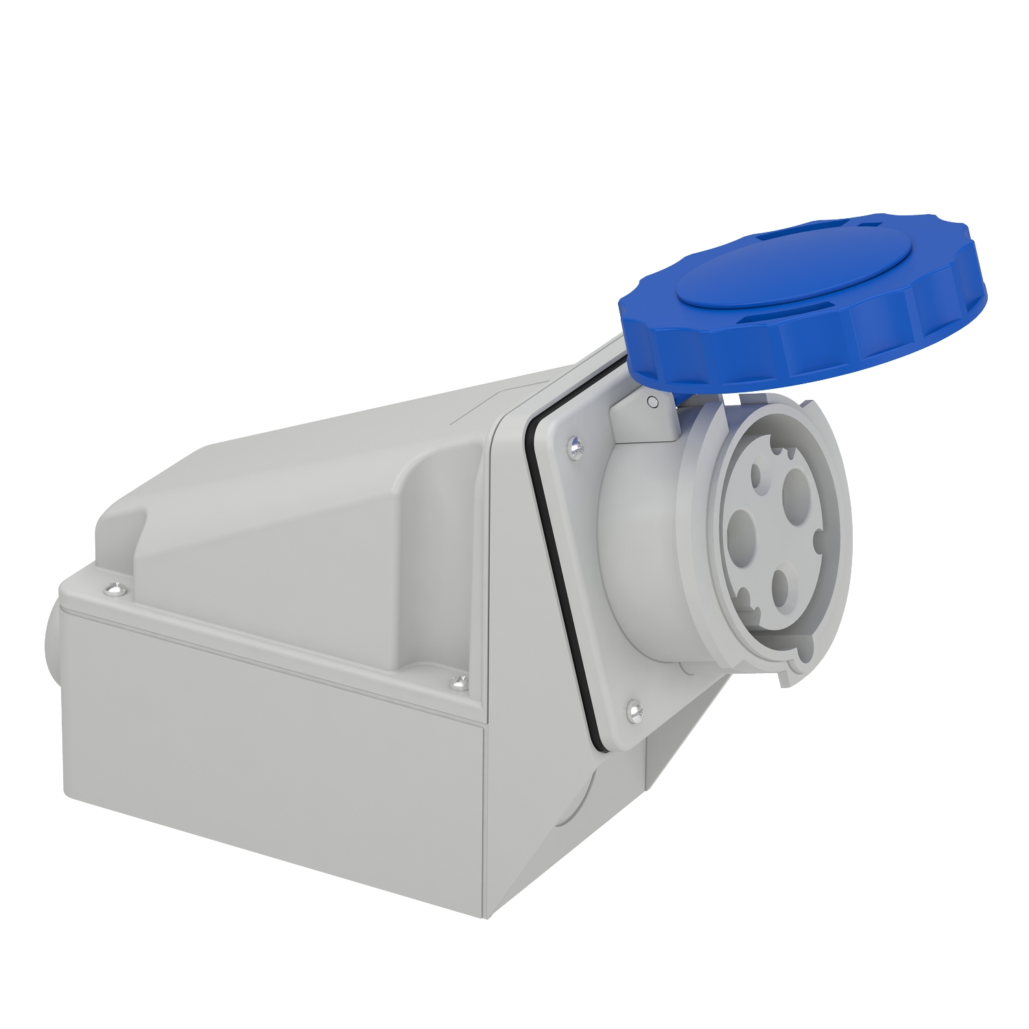 Schneider Mureva Industrial Socket · 63 A · 2P+E · 200 to 250 V · IP67 · Grey (RAL 7035) · 81178