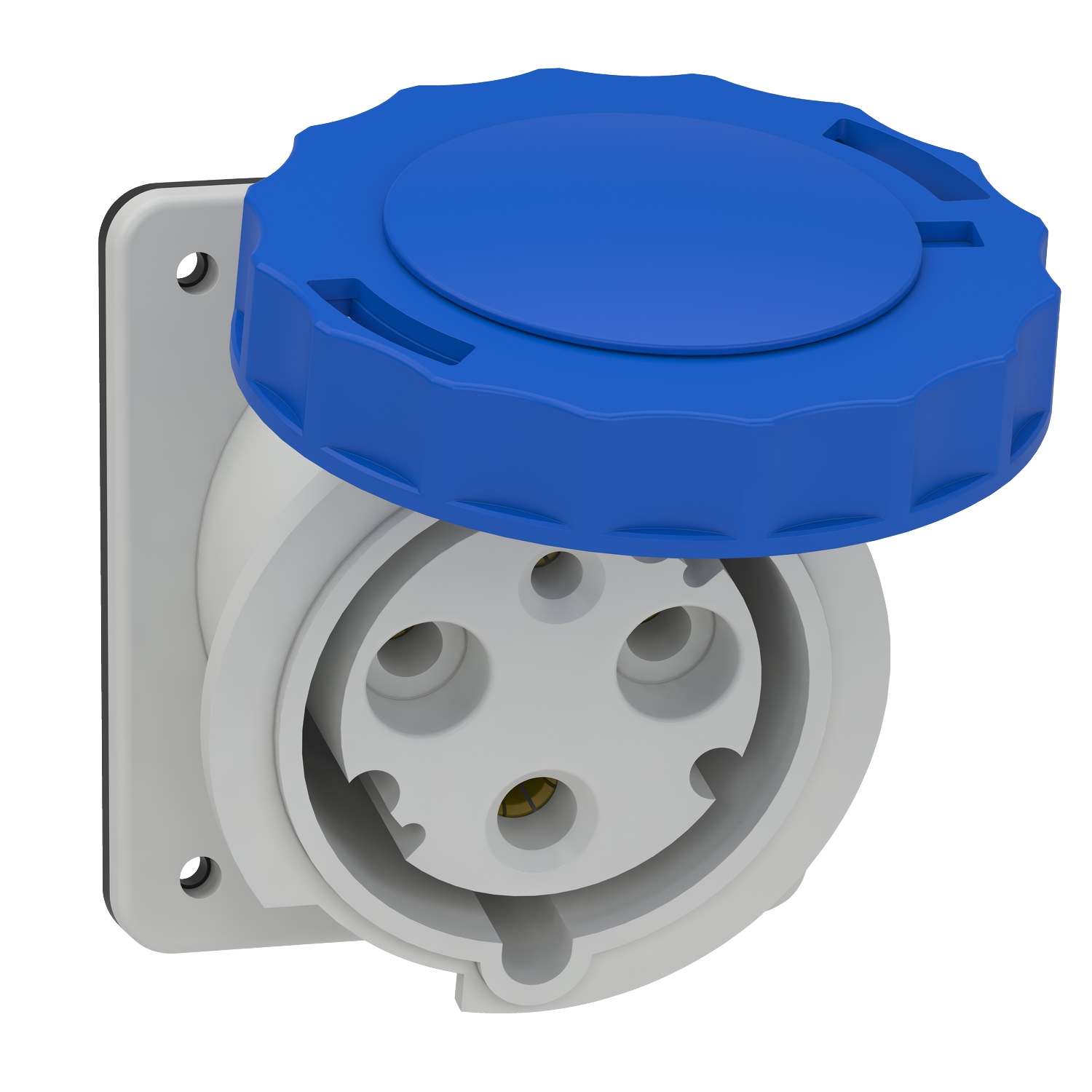 Schneider Mureva Industrial Socket · 63 A · 2P+E · 200 to 250 V · IP67 · Grey (RAL 7035) · 81278