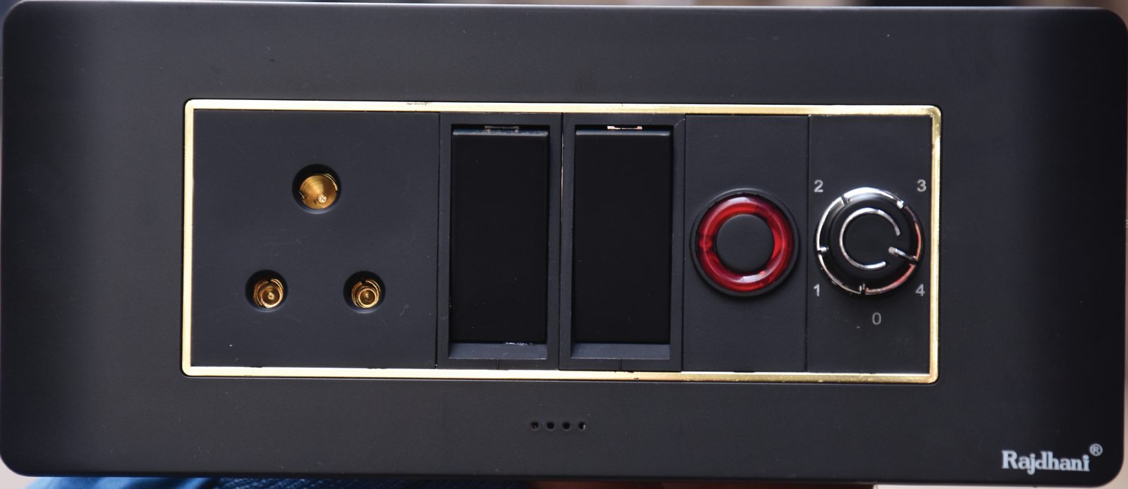 Fusion plate in black with gold trim